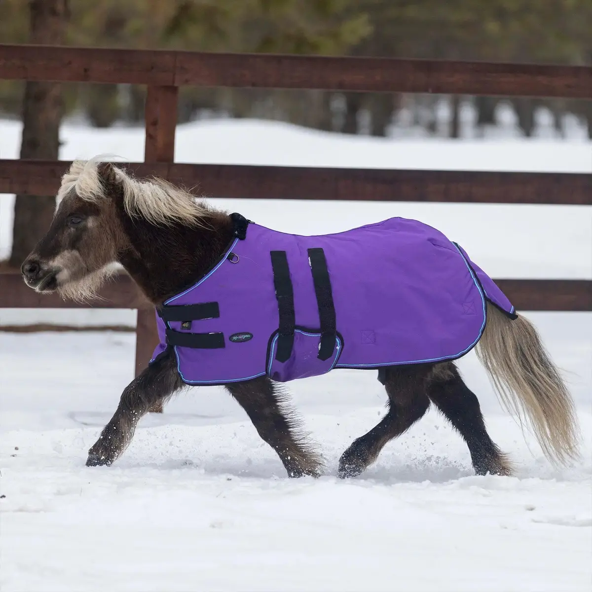 Mini 300G Heavy Weight Horse Winter Turnout Blanket - Waterproof & Breathable 1