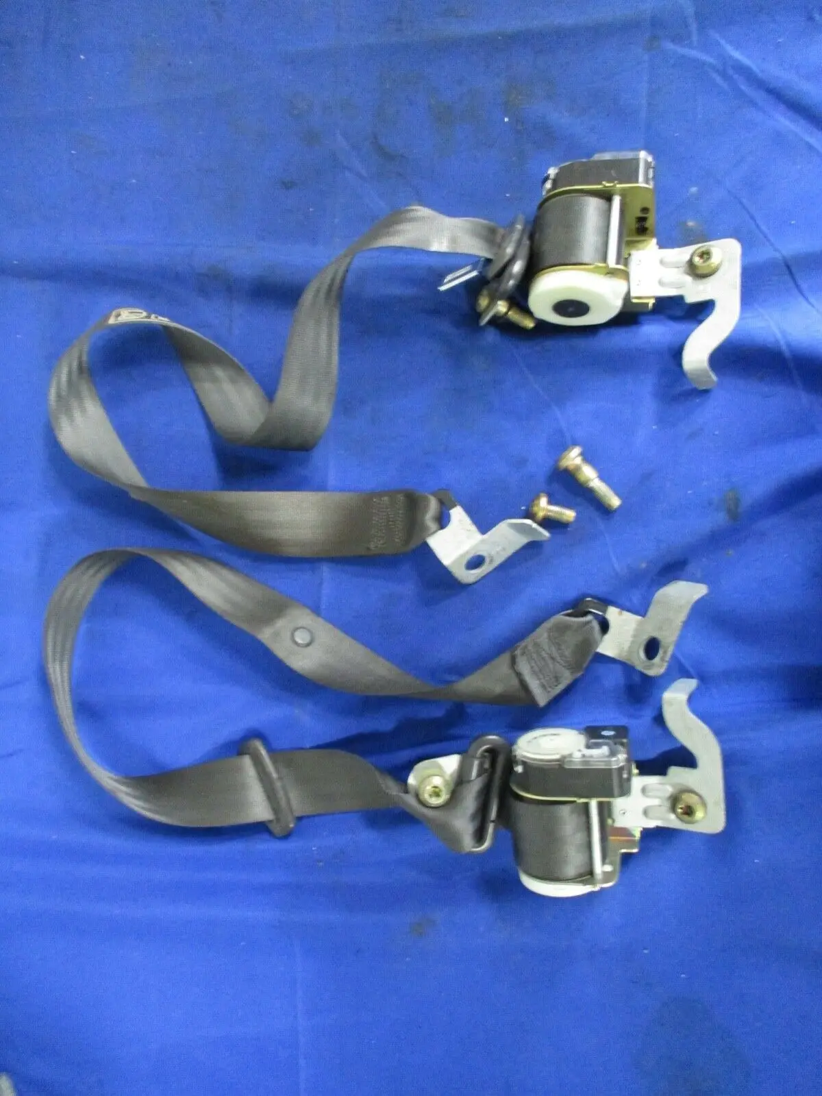 1999-2004 Ford Mustang Seatbelts Dark Charcoal Rear Coupe Set Bm 1