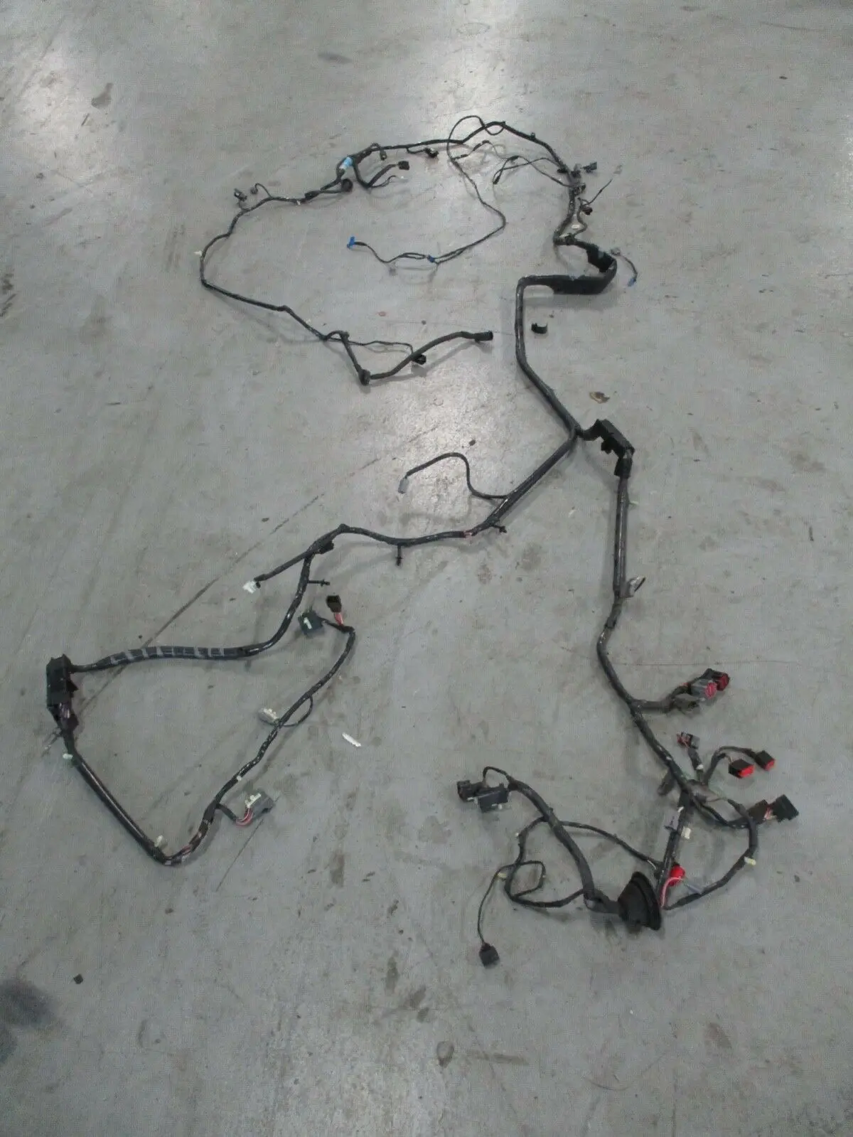 2002-04 Ford Mustang Gt Coupe Body Wiring Harness Saleen S281 081 1