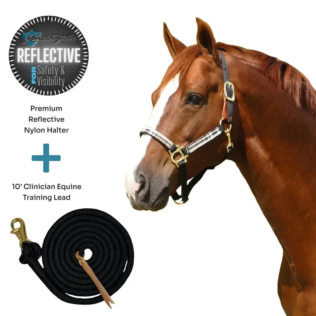 Bundle: Reflective Breakaway Nylon Halter & 10' Clinician Lead 2