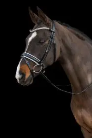 Schockemohle Malaga Dressage Bridle 1
