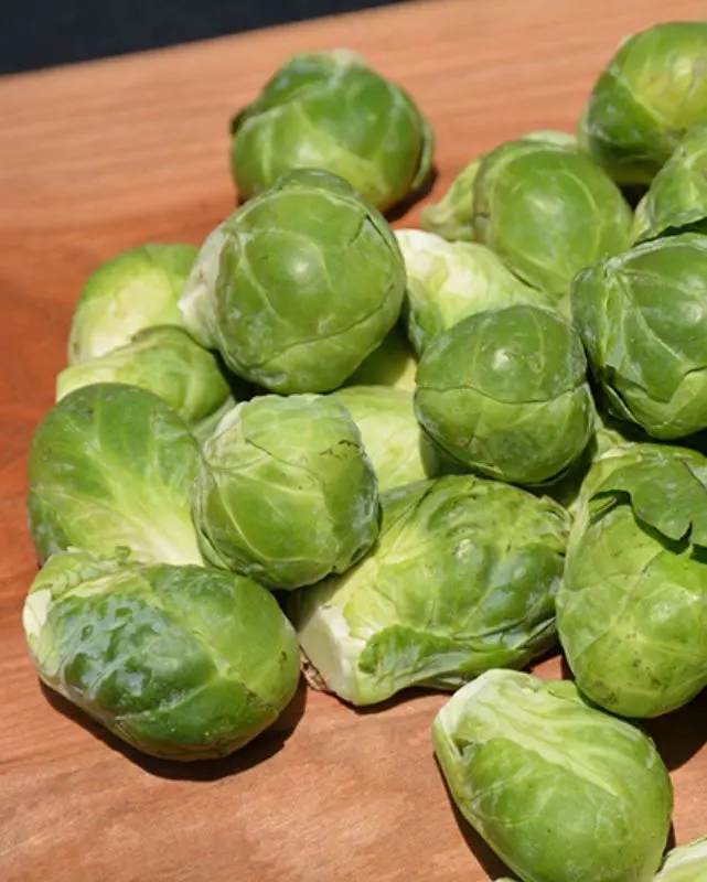 Veg - Brussels Sprouts 1