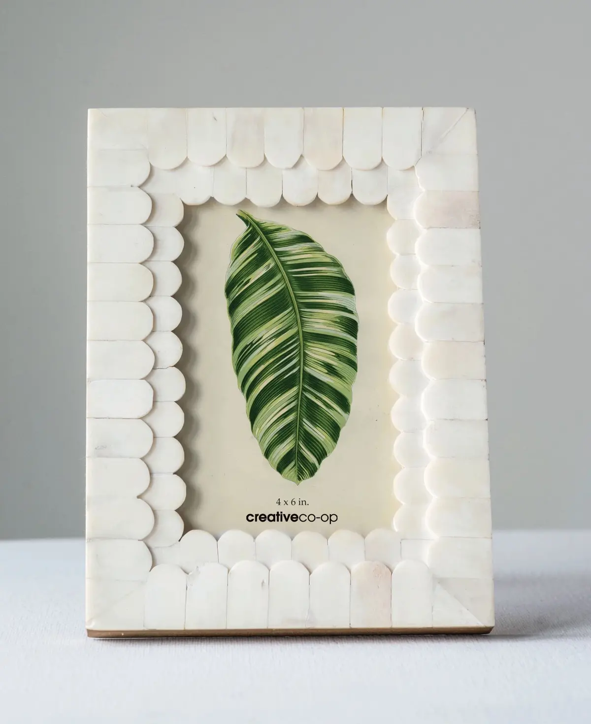Bone Photo Frame (4" X 6") 1