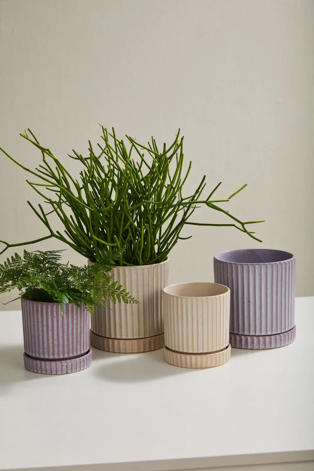 Off-White Los Feliz Pot W/ Saucer, 4.5" 1