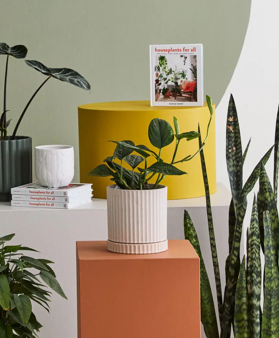 Off-White Los Feliz Pot W/ Saucer, 6" 1