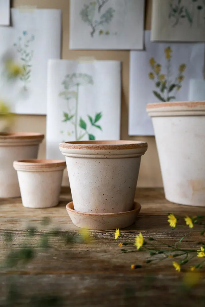 Bergs Flora Terracotta Pot, Rosa, 14Cm (5.5") 1