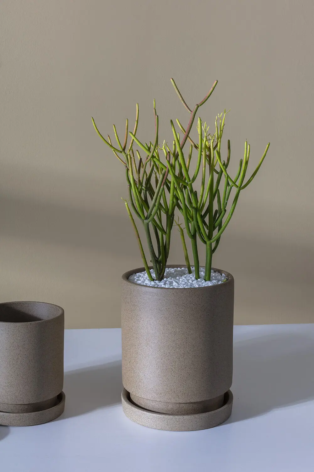 Tan Imogen Pot, 6" 1