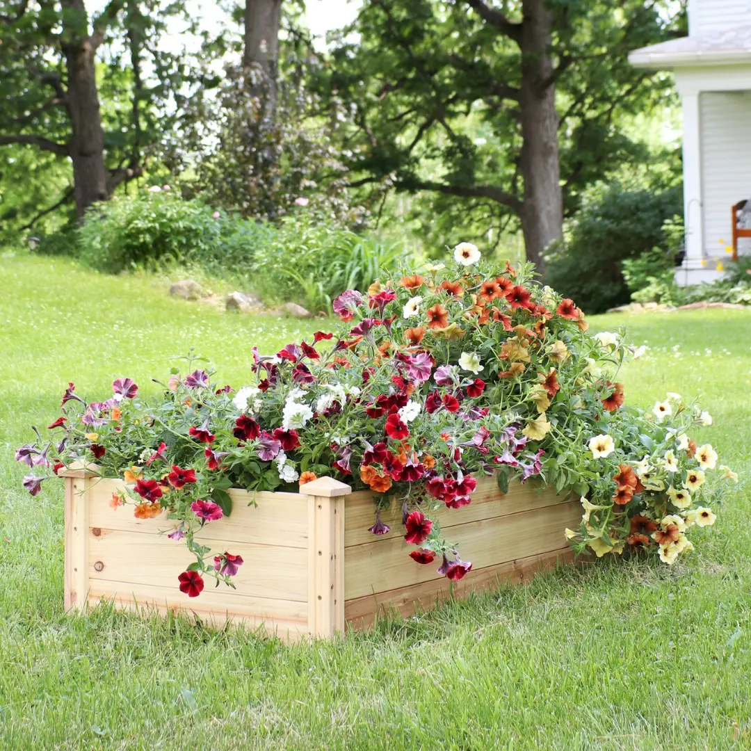 Rectangular Wood Raised Garden Bed - 24" X 48” 1