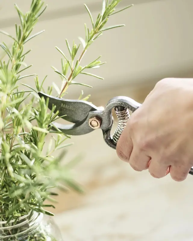 Barebones Premium Pruner 1