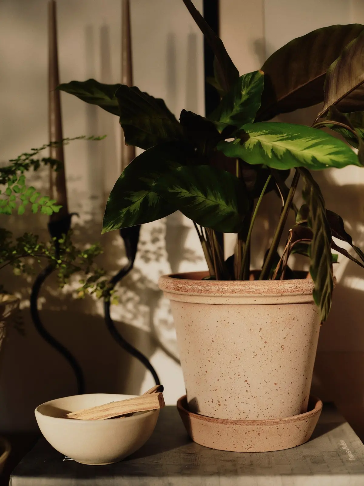 Bergs Flora Terracotta Pot, Rosa, 30Cm (11.8") 1