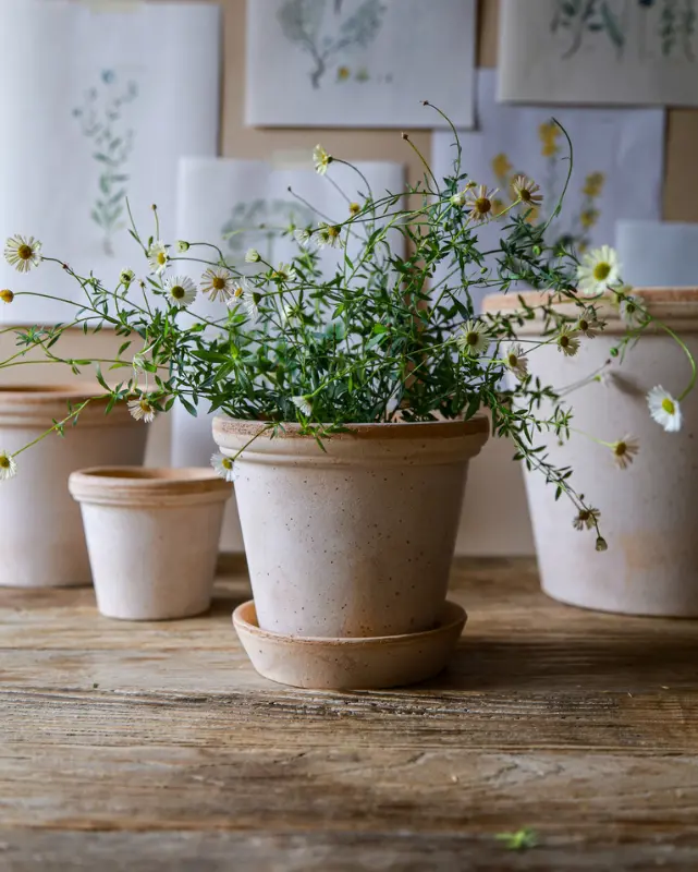 Bergs Flora Terracotta Pot, Rosa, 21Cm (8.3") 1