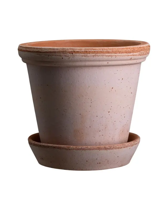 Bergs Flora Terracotta Pot, Rosa, 21Cm (8.3") 2