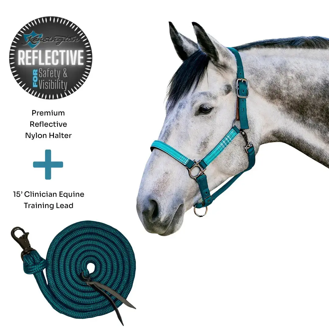 Bundle: Reflective Breakaway Nylon Halter & 15' Clinician Lead 19