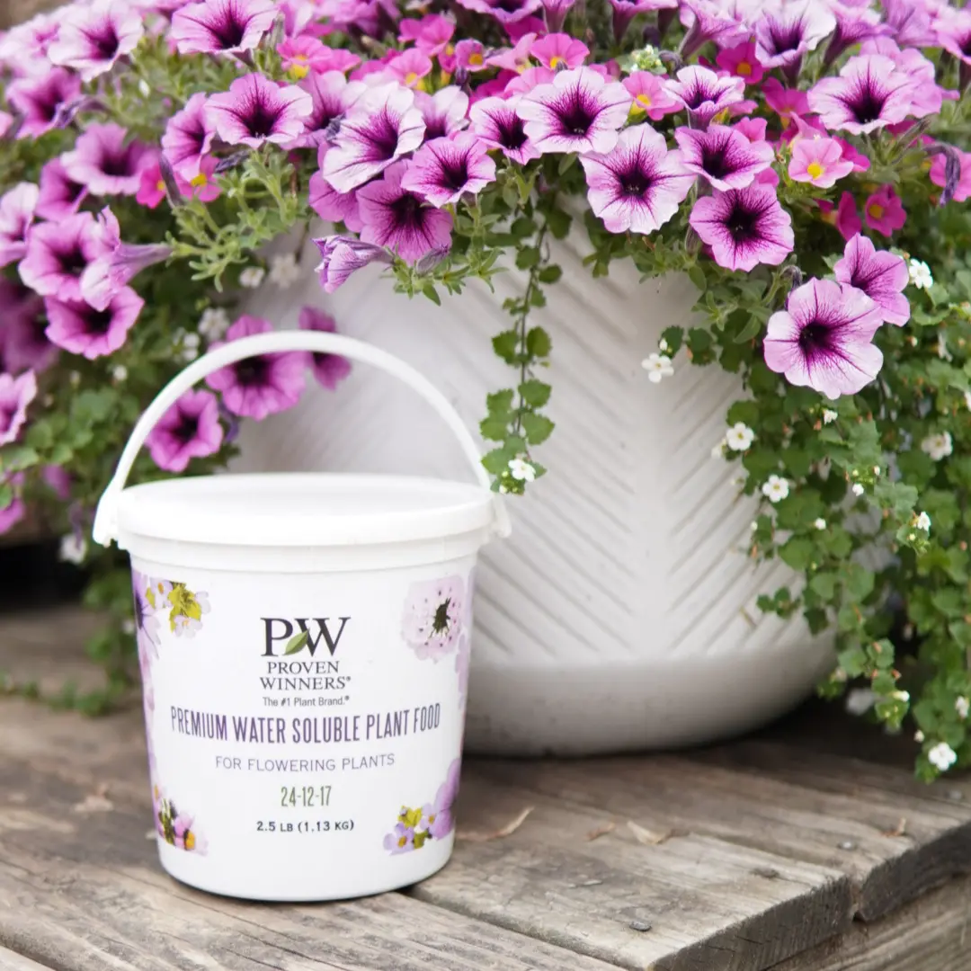 Proven Winners Ws Plant Food 2.5# 1