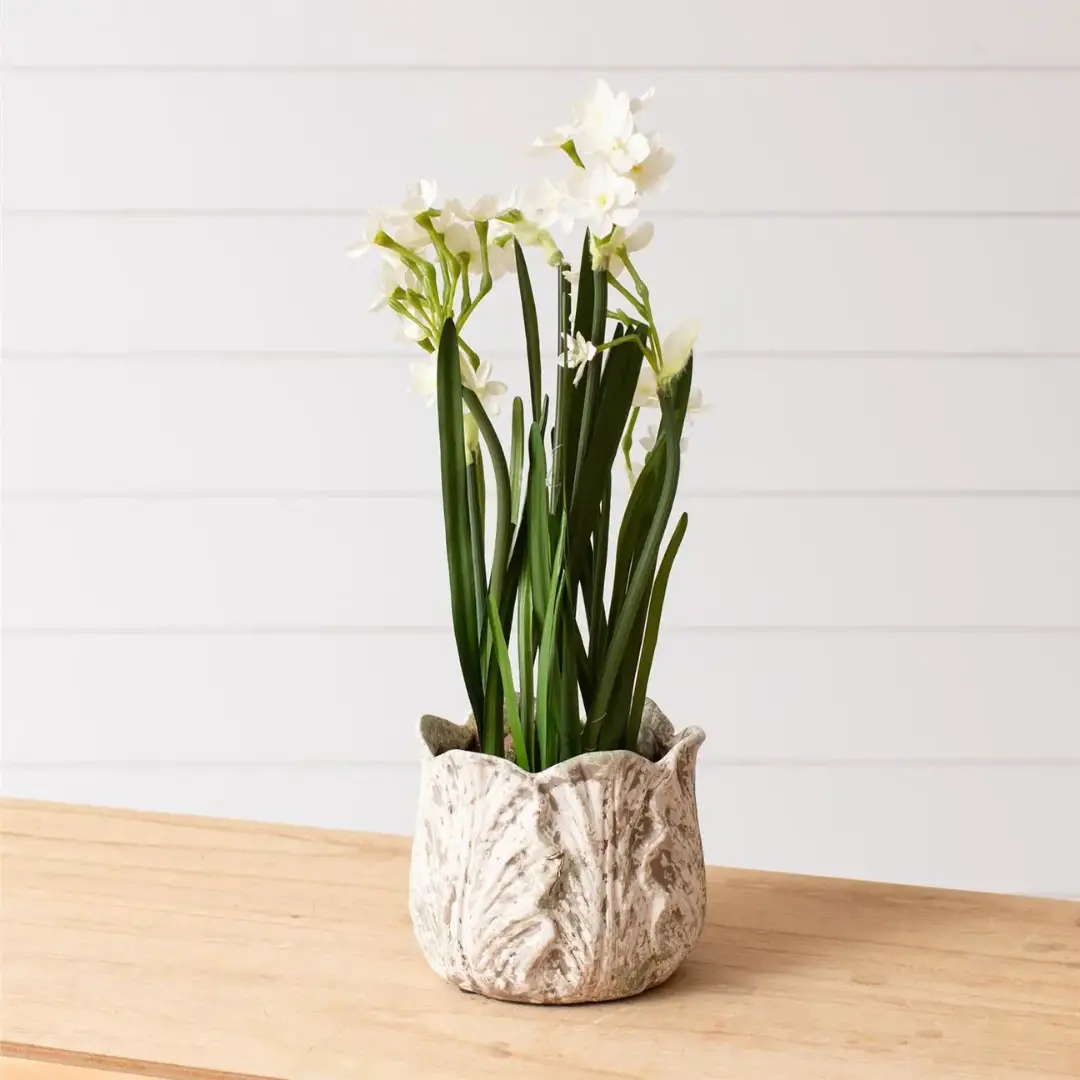 Distressed White Leaf Planter 1