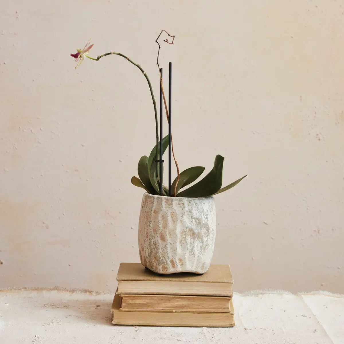 Cream Reactive Glaze Terracotta Planter, 5" 1