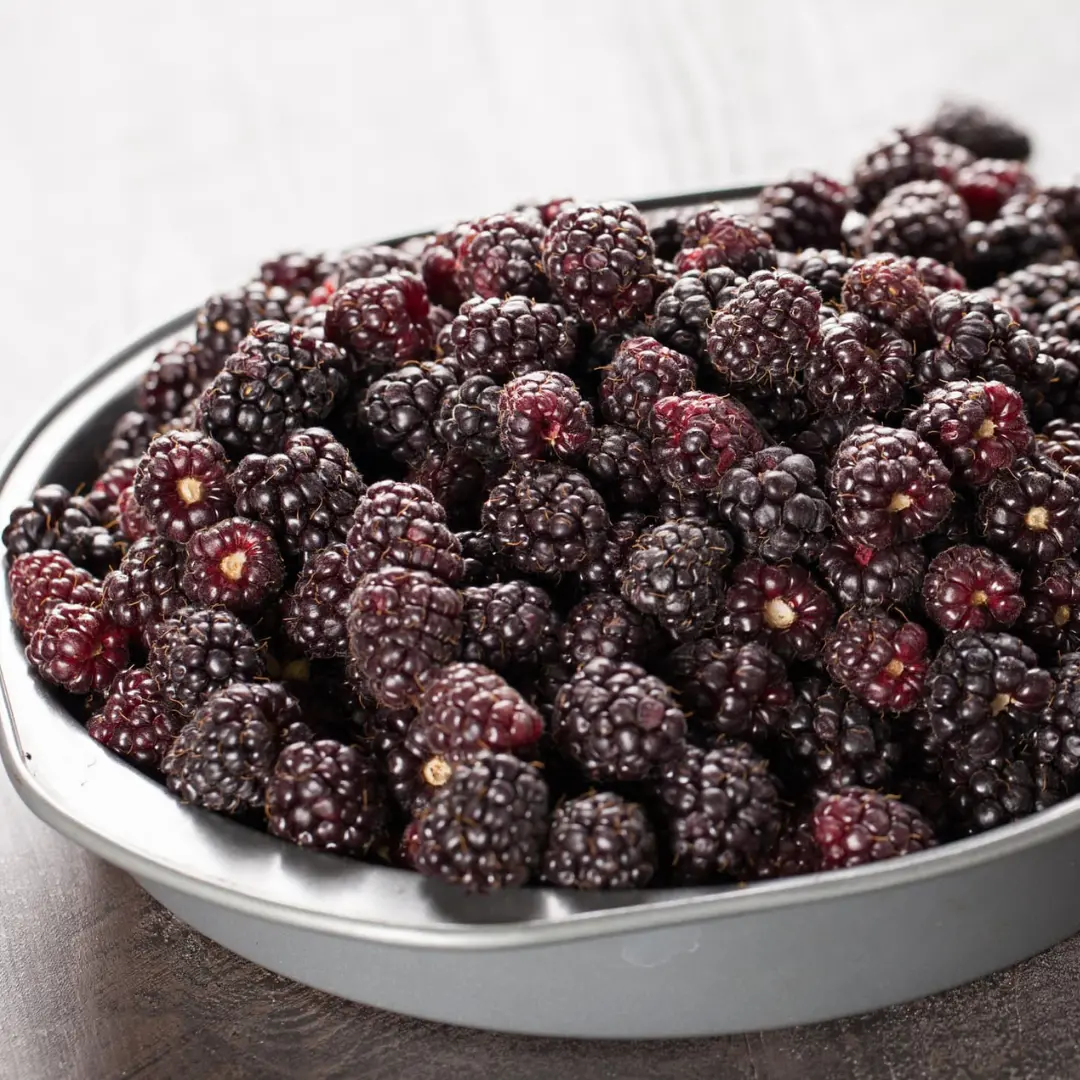 Fruit - Boysenberry 1