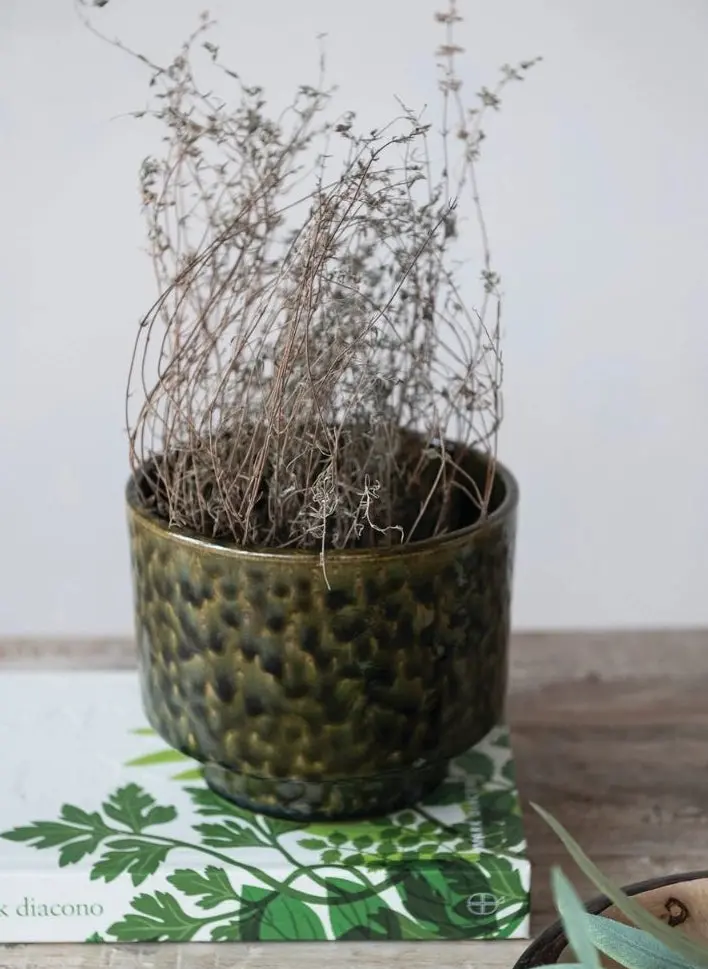 5" Stoneware Footed Planter, Green 1