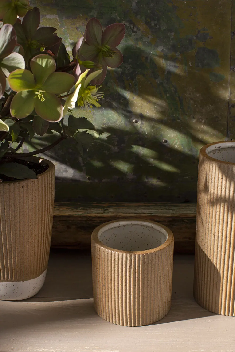 Morrigan Tan Ribbed Planter, 4" 1