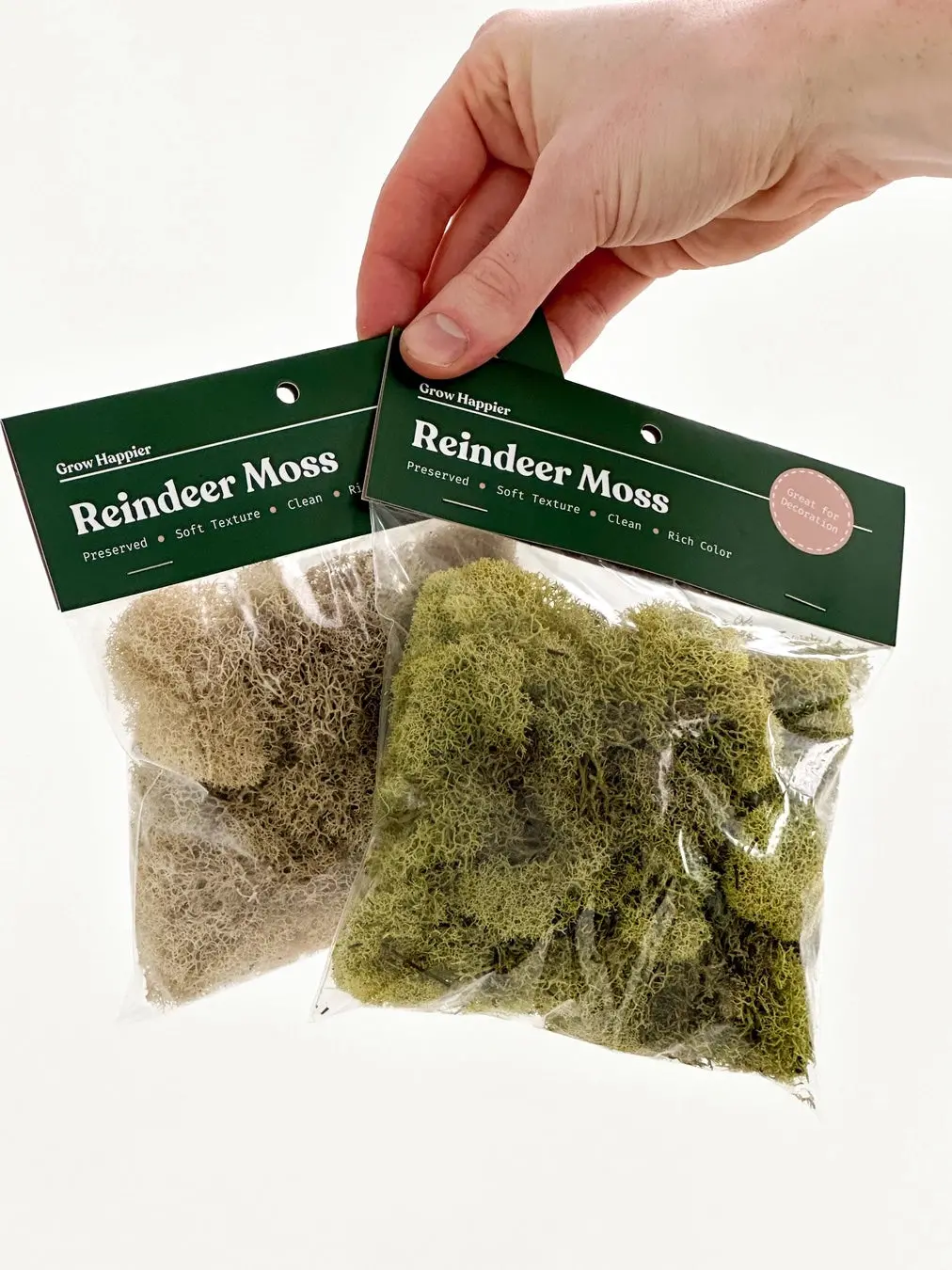 30G Preserved Reindeer Moss, Light Green 1