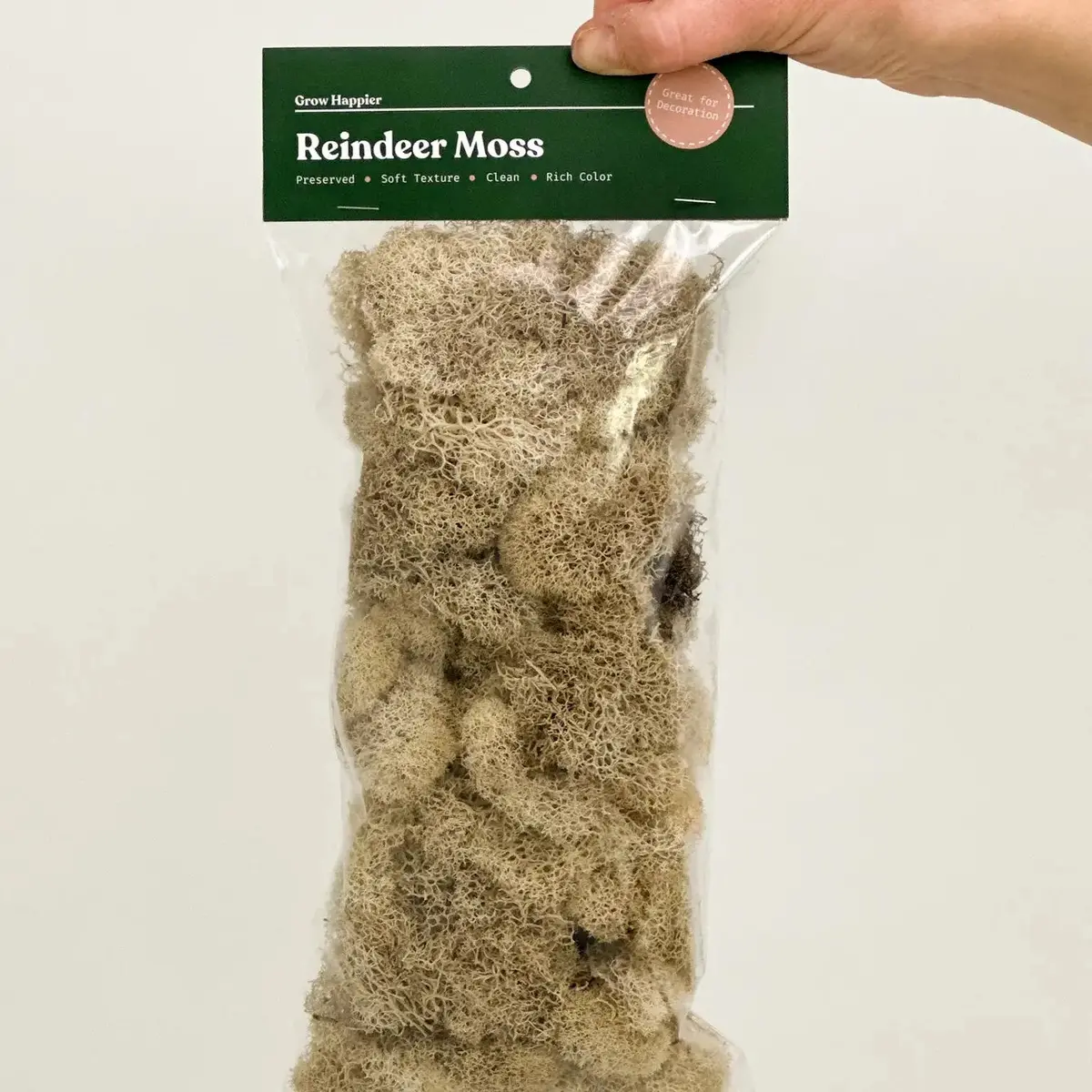 90G Preserved Reindeer Moss, Natural 1