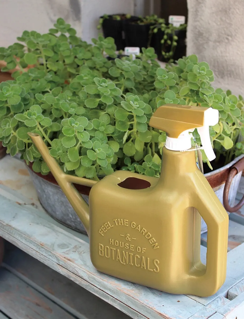 Olive 2-In-1 Watering Can 1