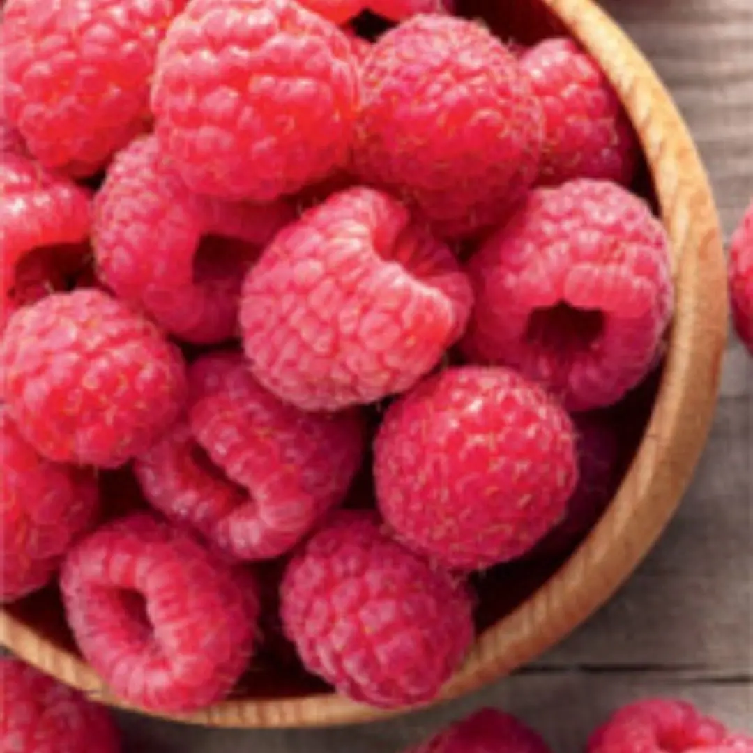 Fruit - Raspberry - Nantahala 1
