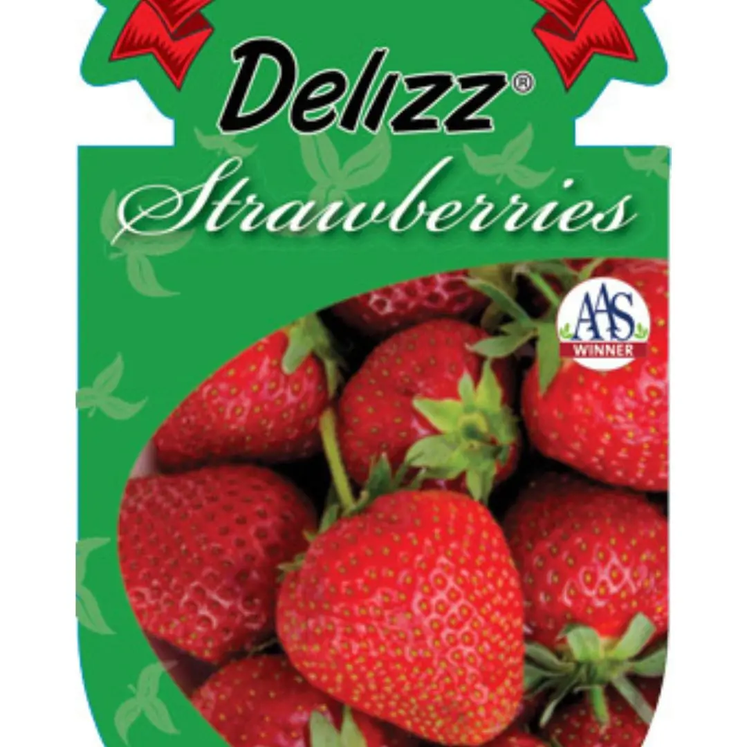 Fruit - Strawberry - Delizz 1