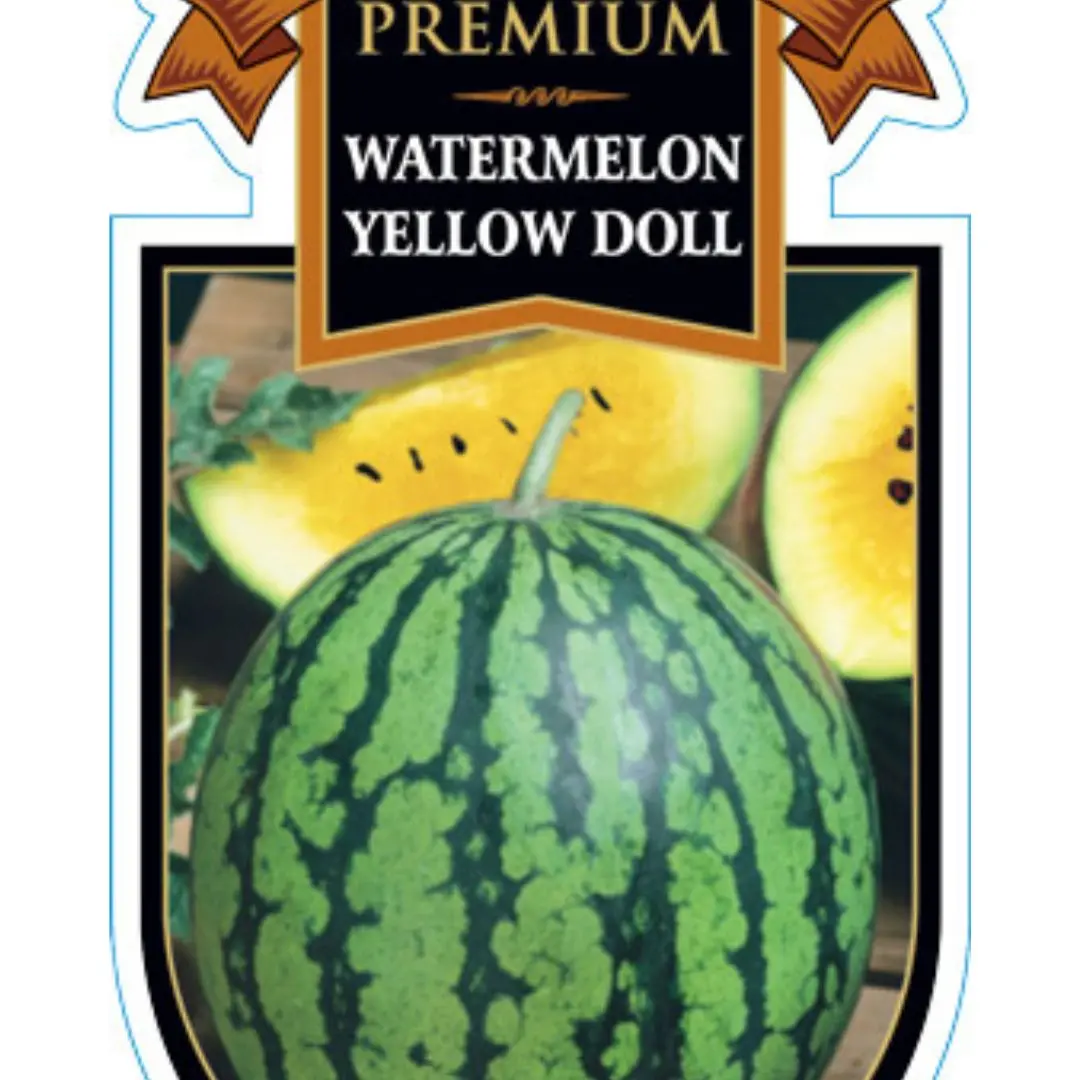 Fruit - Watermelon Prem. - Yellow Doll 1