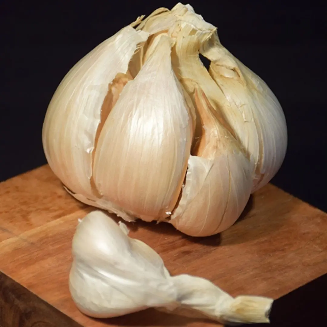 Veg - Garlic Prem. - Elephant 1