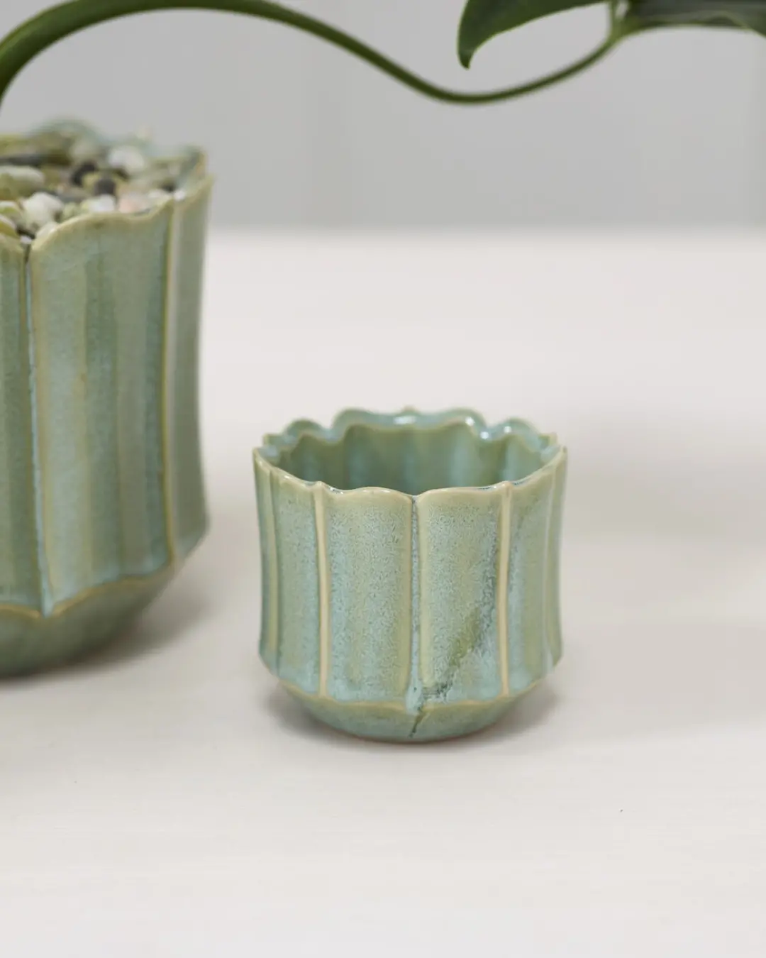 Everleaf Pot, 3" 1