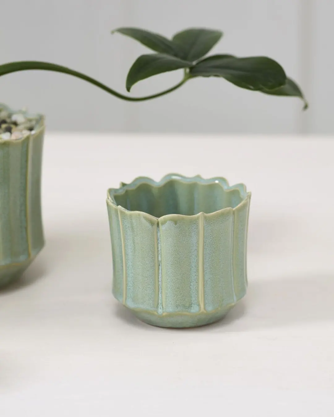 Everleaf Pot, 4" 1