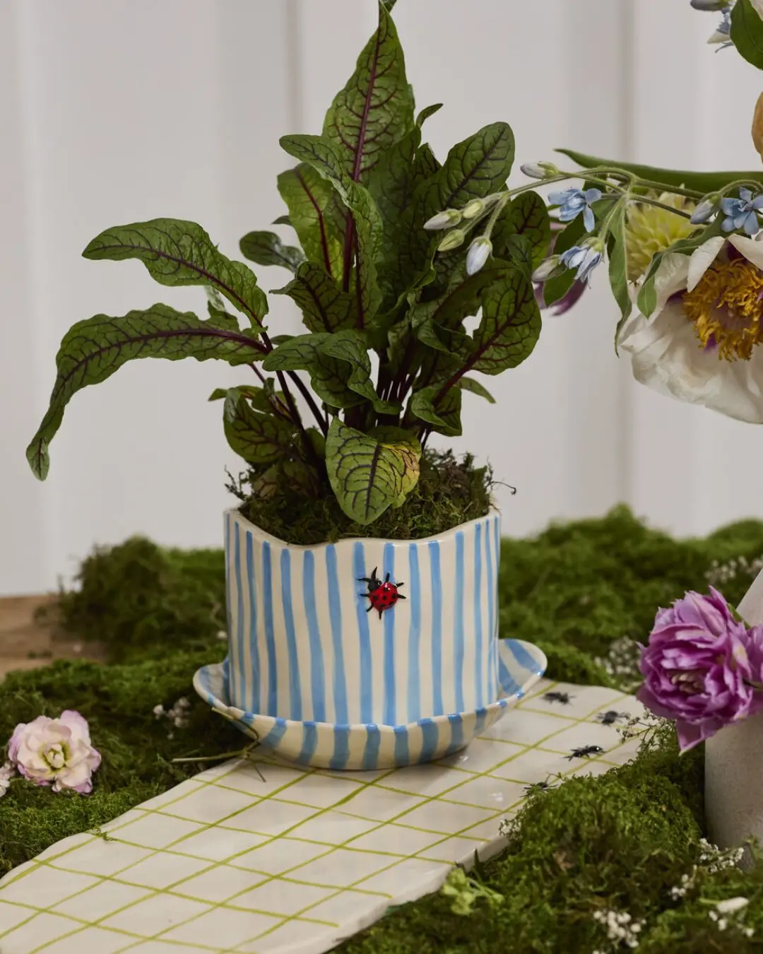 Ladybug Pot W/ Saucer 1