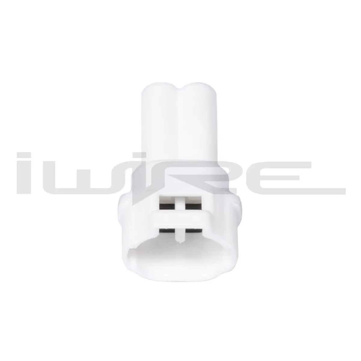 Fog Light Receptacle B 1