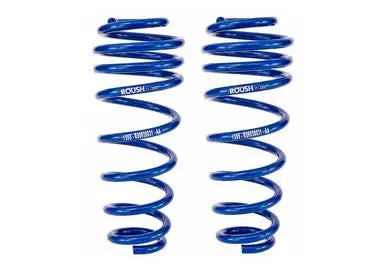 Roush Ford Mustang Coil Springs - Rear (2005-2014) - 401295 1