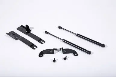 Roush 2015-2023 Mustang Hood Strut Kit - 422043 1