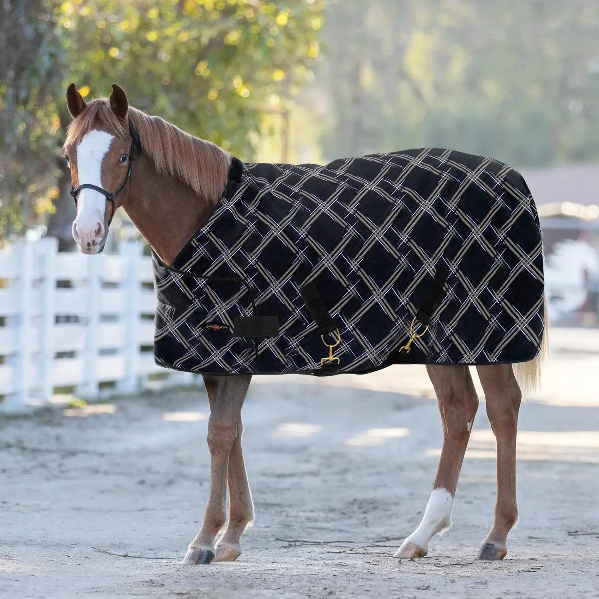1200D Adjustable Weanling 180G Medium Weight Winter Turnout Blanket - Waterproof & Breathable 6