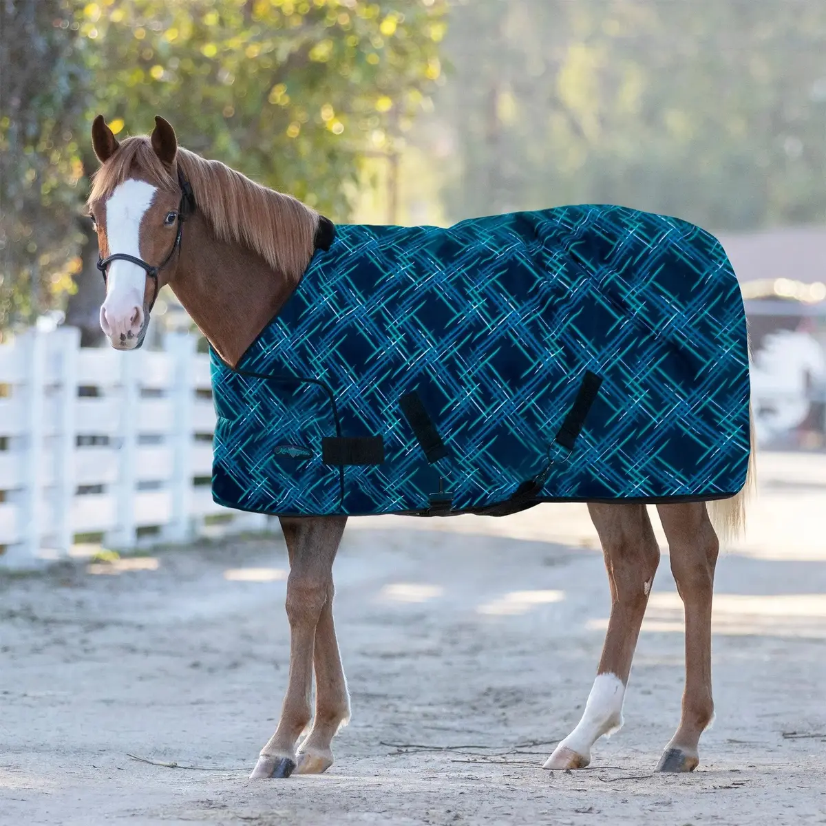 1200D Adjustable Weanling 180G Medium Weight Winter Turnout Blanket - Waterproof & Breathable 4