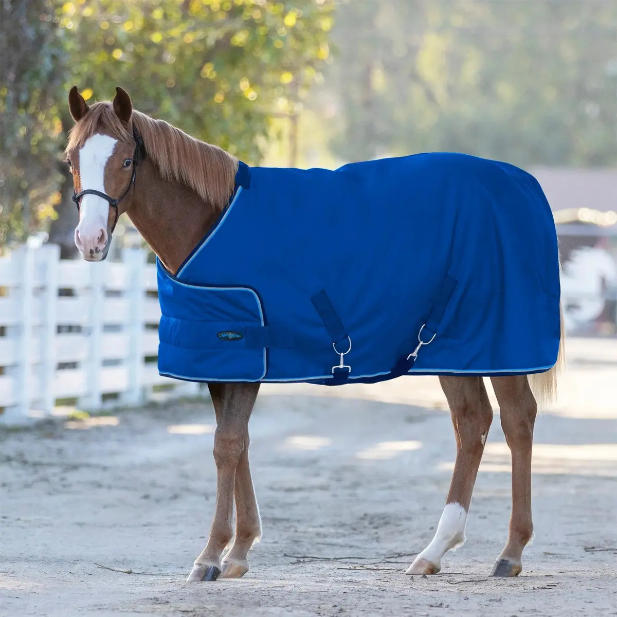 1200D Adjustable Weanling 180G Medium Weight Winter Turnout Blanket - Waterproof & Breathable 3