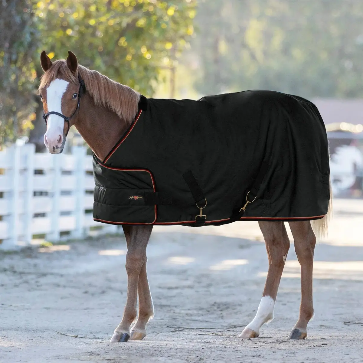 1200D Adjustable Weanling 180G Medium Weight Winter Turnout Blanket - Waterproof & Breathable 5