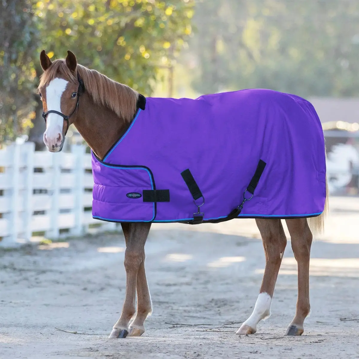 1200D Adjustable Weanling 180G Medium Weight Winter Turnout Blanket - Waterproof & Breathable 6