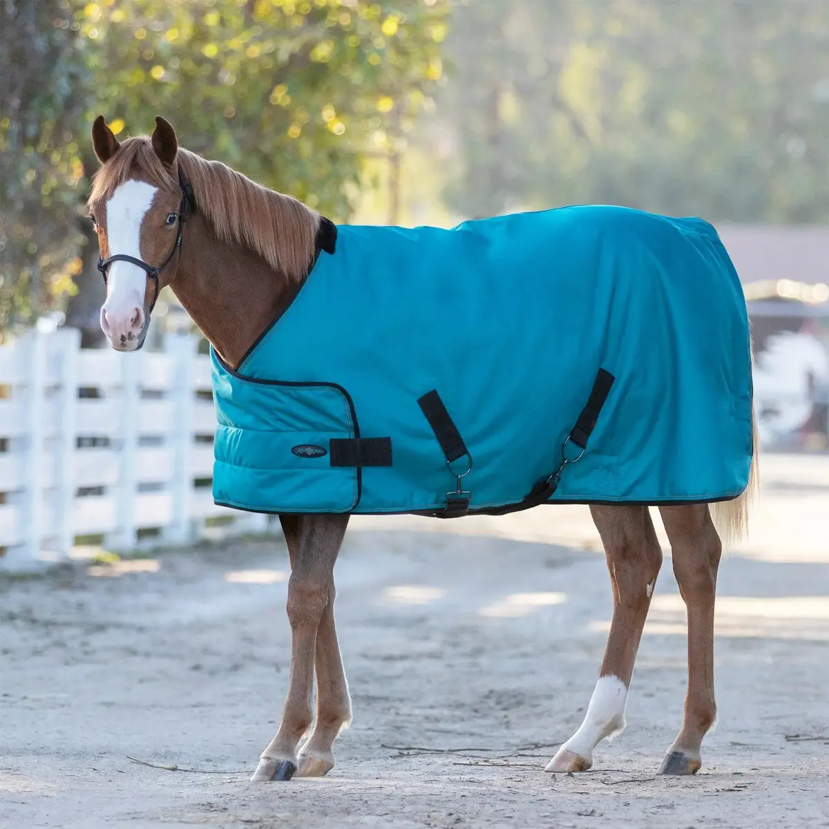 1200D Adjustable Juvenile 180G Medium Weight Winter Turnout Blanket - Waterproof & Breathable 9
