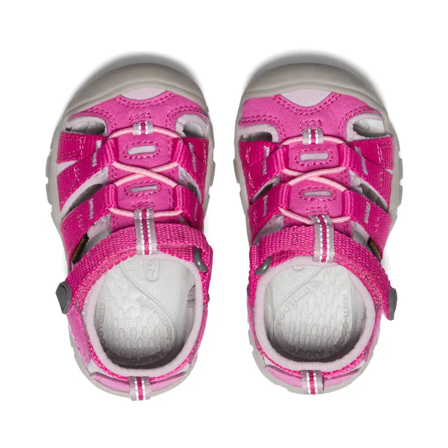 Toddlers' Seacamp Ii Cnx | Very Berry/Dawn Pink 4