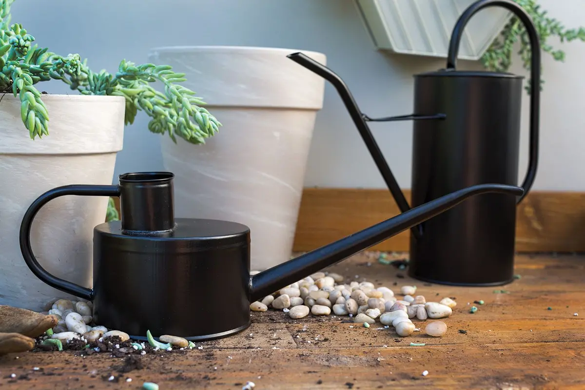 Fletch Watering Can 17.5"X5"X5 1
