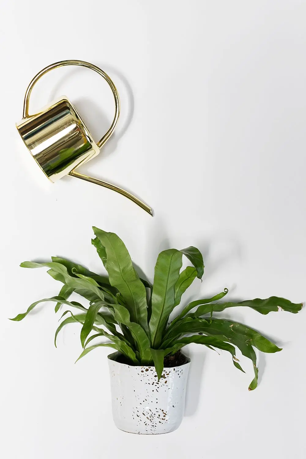 Henri Watering Can 15"X 5.5" 1