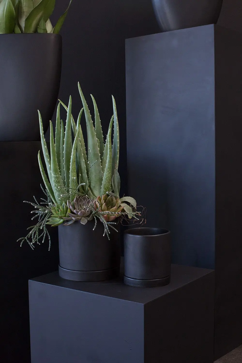 Romey Pot 5", Black 1