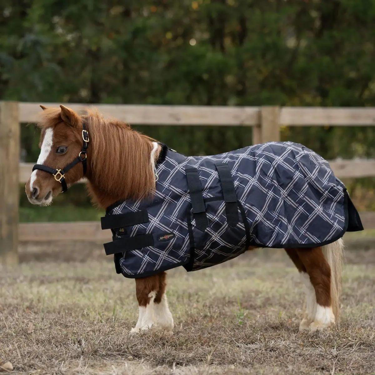Mini 180G Medium Weight Horse Winter Turnout Blanket - Waterproof & Breathable 4