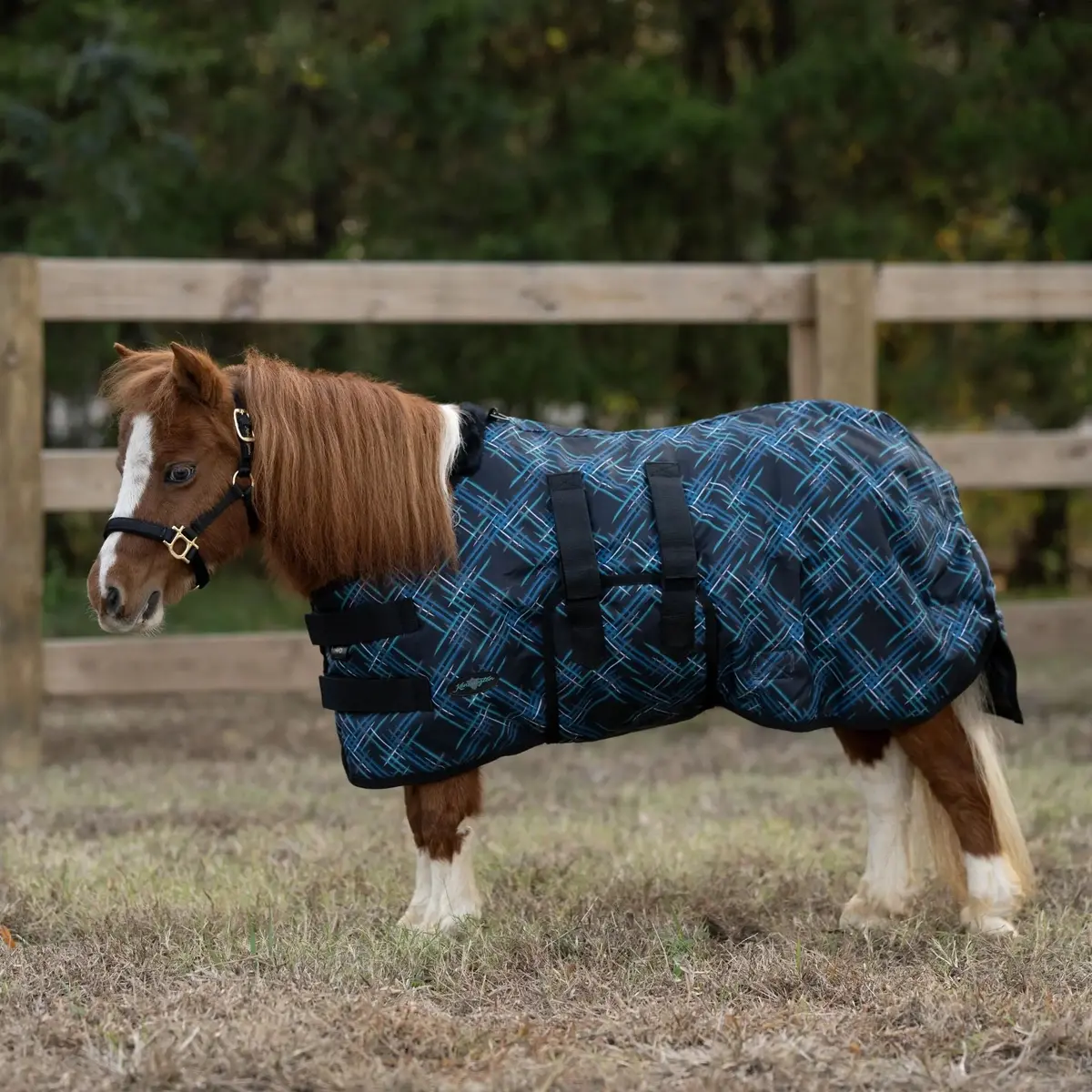 Mini 180G Medium Weight Horse Winter Turnout Blanket - Waterproof & Breathable 3