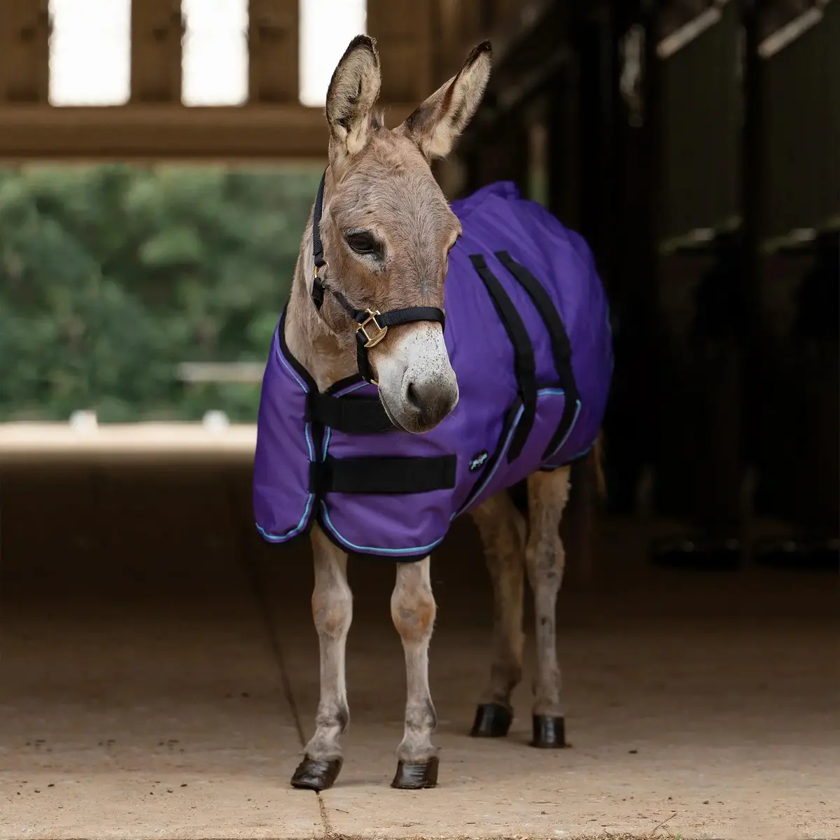 1200D Mini Donkey 80G Light Weight Winter Turnout Blanket - Waterproof & Breathable 1