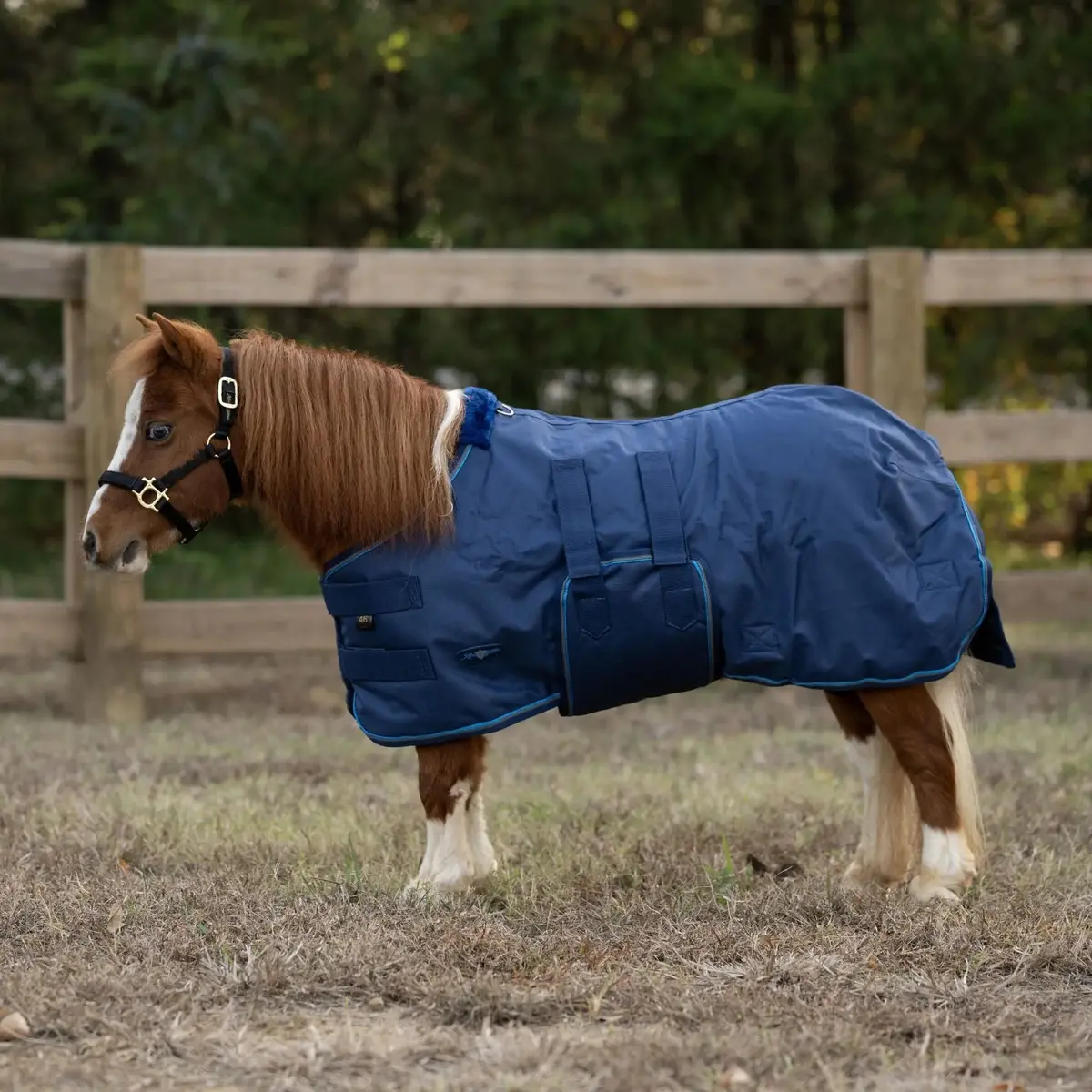 Mini 180G Medium Weight Horse Winter Turnout Blanket - Waterproof & Breathable 3